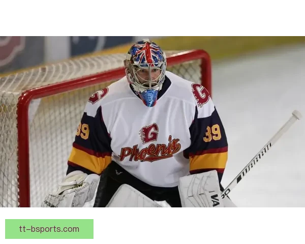 佩特·切赫退役后转战冰球成就传奇新篇章